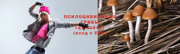 молекула духа Абдулино