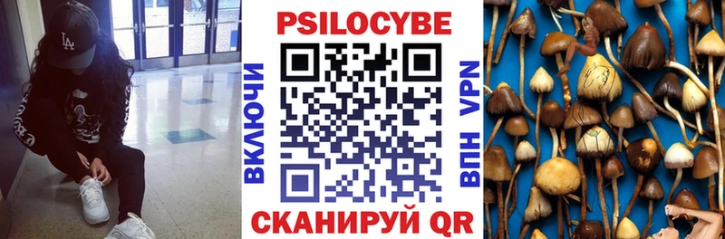 Галлюциногенные грибы Cubensis  купить   Тында 
